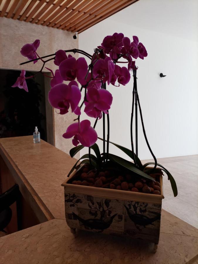 אגואס דה סנטה ברברה Casa De Campo No Resort Residence Thermas De Santa Barbara מראה חיצוני תמונה